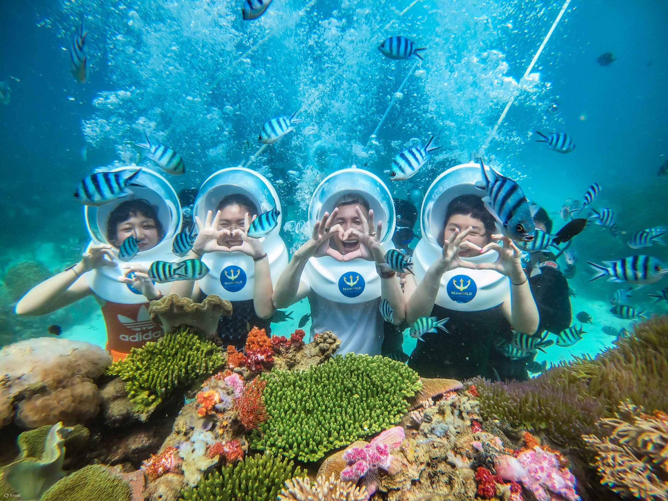 Tour lặn ngắm san hô tại Phú Quốc